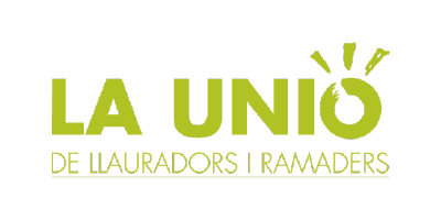 Salvaescaleras-en-La-Unio.png